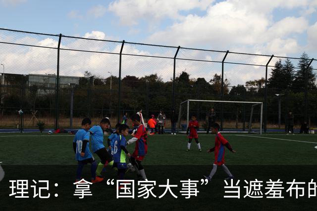 理记：拿“国家大事”当遮羞布的，不是蠢就是坏